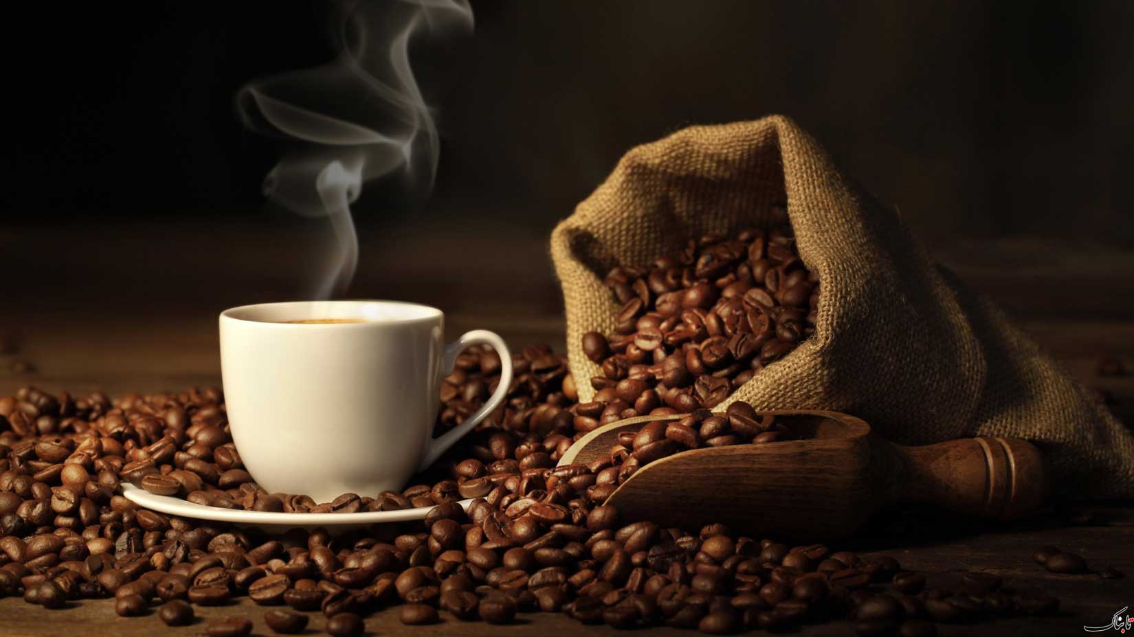 راهنمای خرید قهوه