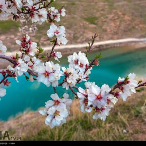 اراک و جاذبه های حیرت انگیزش