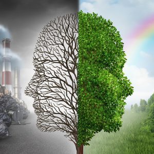 راه های ساده حفظ محیط زیست