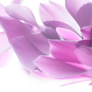 عمل جراحی لابیاپلاستی با لیزر