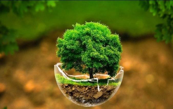 چند پیشنهاد برای نجات محیط زیست