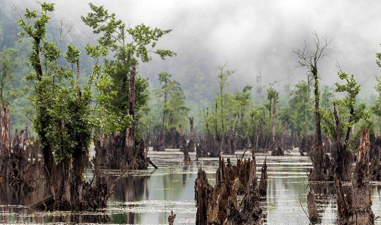 تالاب ارواح مازندران