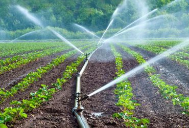 صرفه جویی آب در بخش کشاورزی