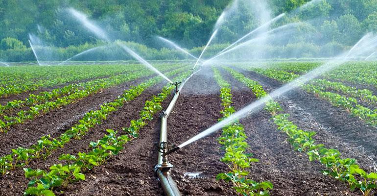 صرفه جویی آب در بخش کشاورزی
