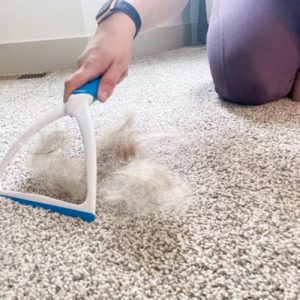 راه های جمع کردن مو از فرش و موکت