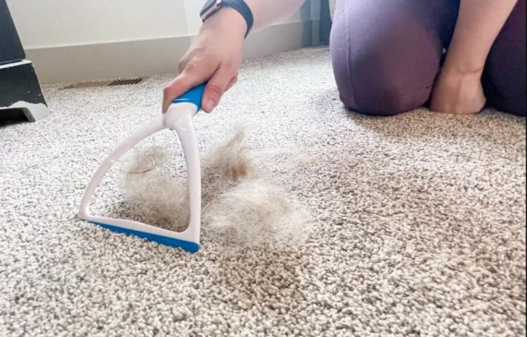 راه های جمع کردن مو از فرش و موکت