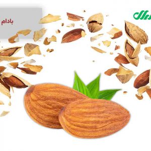 عمر اقتصادی درخت بادام