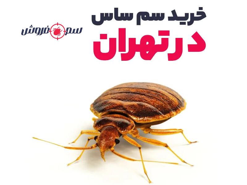 خرید سم ساس در تهران با ارسال فوری
