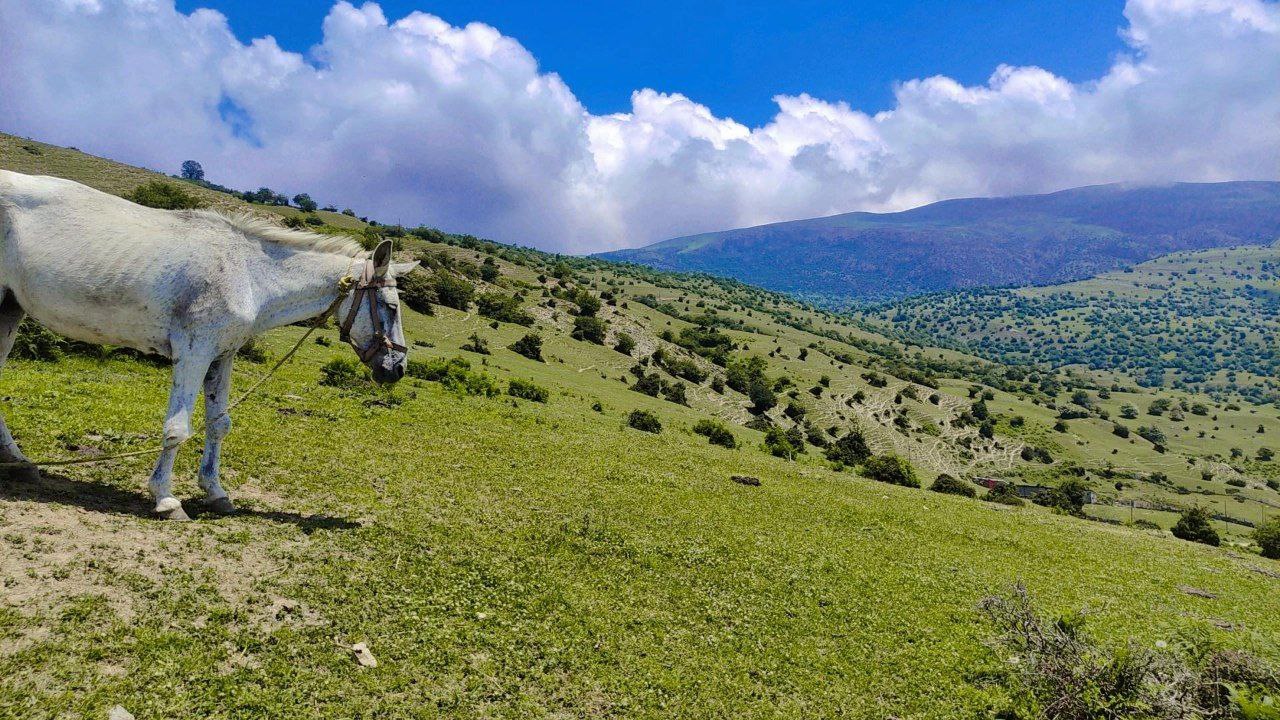جاهای دیدنی کلاردشت